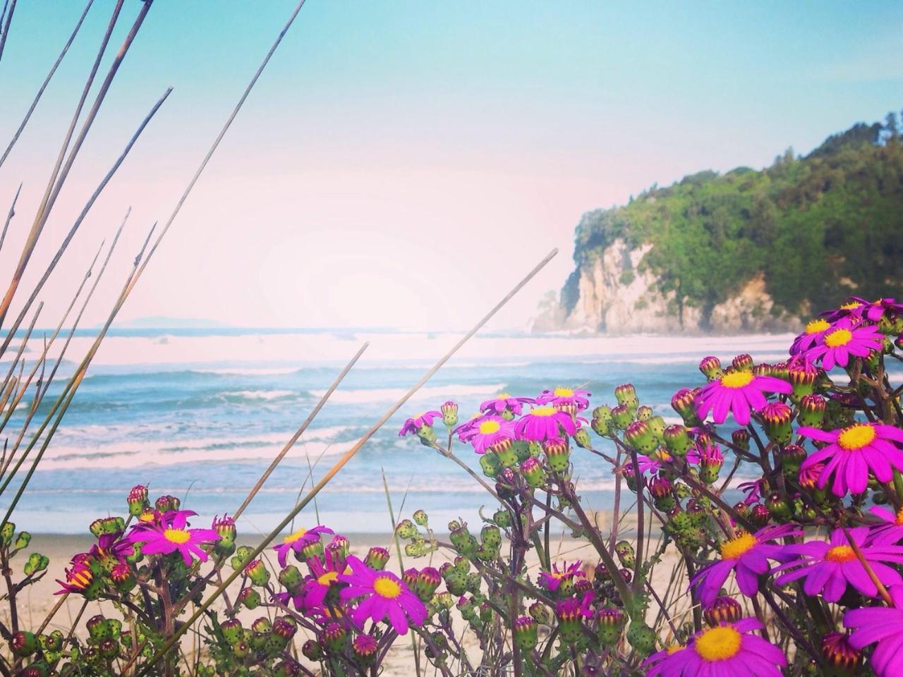 Estuary Retreat Whangamata Bagian luar foto